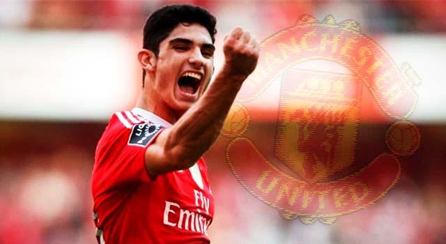 Gonçalo Guedes,Benfica,Manchester United,Transfer